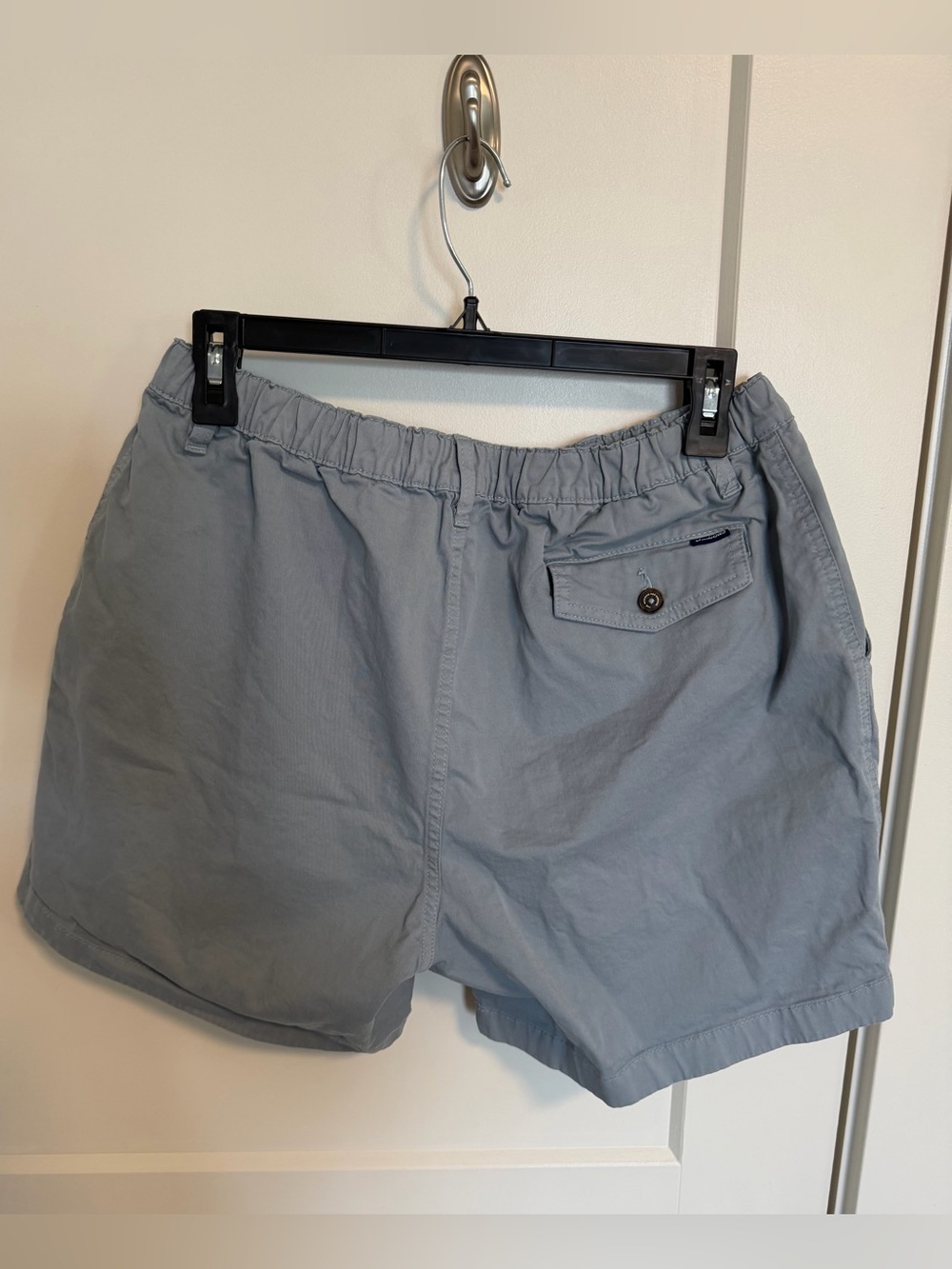 Men’s Chubbies Light Greg 5.5” Inseam - Picture 2 of 4